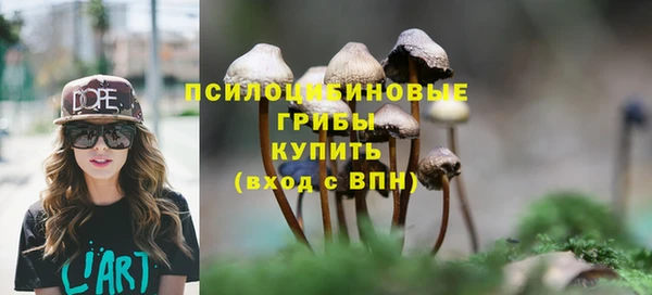 твердый Арсеньев