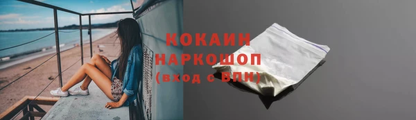 твердый Арсеньев