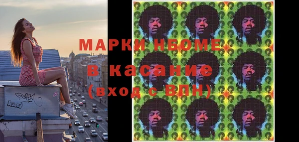 твердый Арсеньев