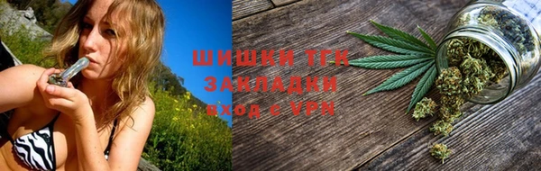 твердый Арсеньев