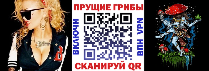 Галлюциногенные грибы Cubensis  даркнет сайт  Усть-Джегута 